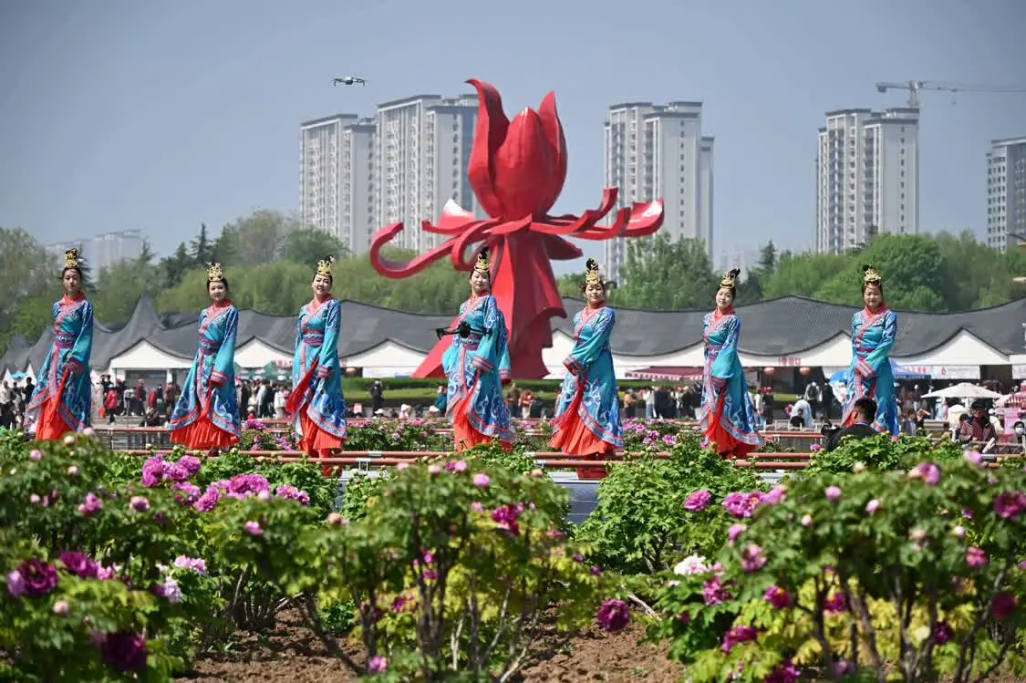 圖片來源：網信菏澤